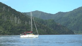 Sailboat Sailing Through the Port Water on the Marlborough Sounds in Nelson New Zealand