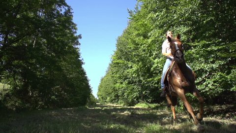 woman on galloping horse on meadow between trees in slow motion