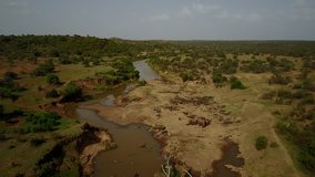 African Elephants from above. Aerial drone 4K video of Elephant herd going to drink