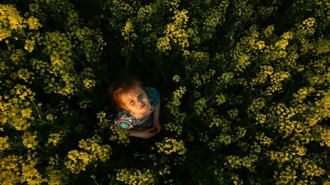 beautiful baby in a field of flowers 