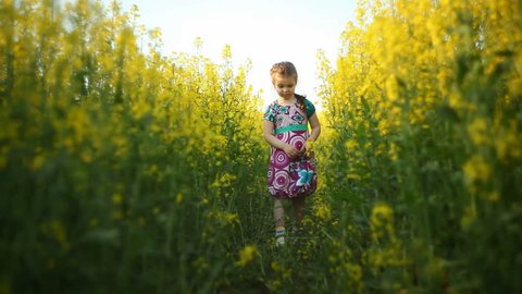 Girl walks in the flowers field 