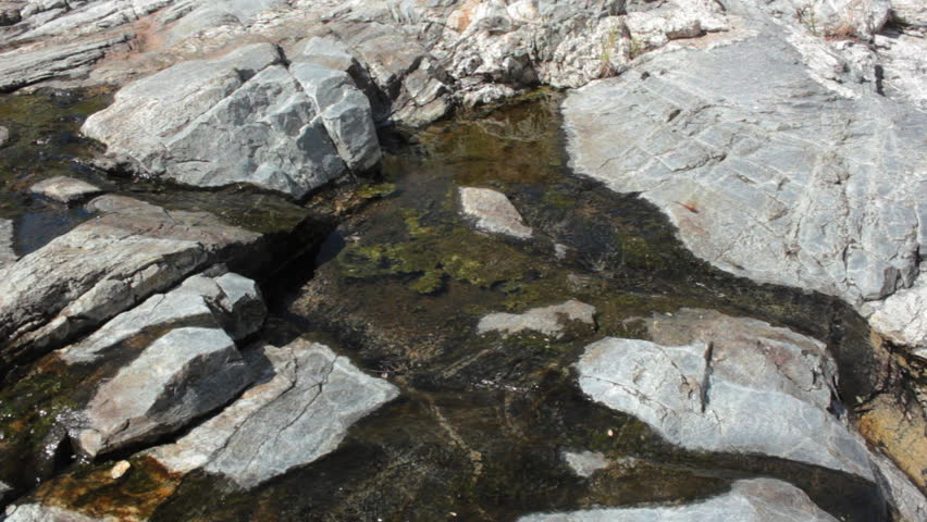 Algae Water Over Rocks. Closeup shot of water in a small stream moving through the pools above the dam at Saguaro National Park East in Tucson, Arizona.