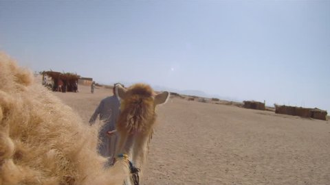 pov tourist rides camel through the Sahara Desert  05/07/2011  Stock Video