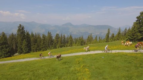 Kitzalps - Biking between the cows - Aerial Kitzbuehel