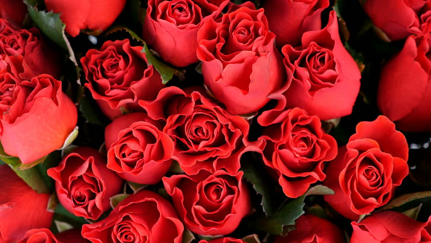 close-up, view from above, Flowers, bouquet, rotation, floral composition consists of red Roses el toro . Divine beauty Royalty-Free Stock Footage #28283914