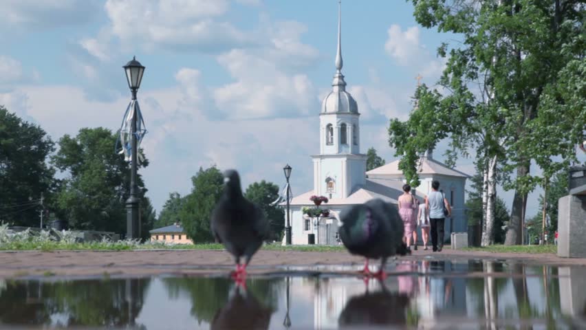 Two pigeons walk near puddle on kremlin square with Alexander Nevsky Church in Vologda, Russia