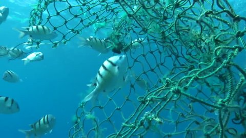 2010s: Underwater view of a broken net which could ensnare and trap marine animals.