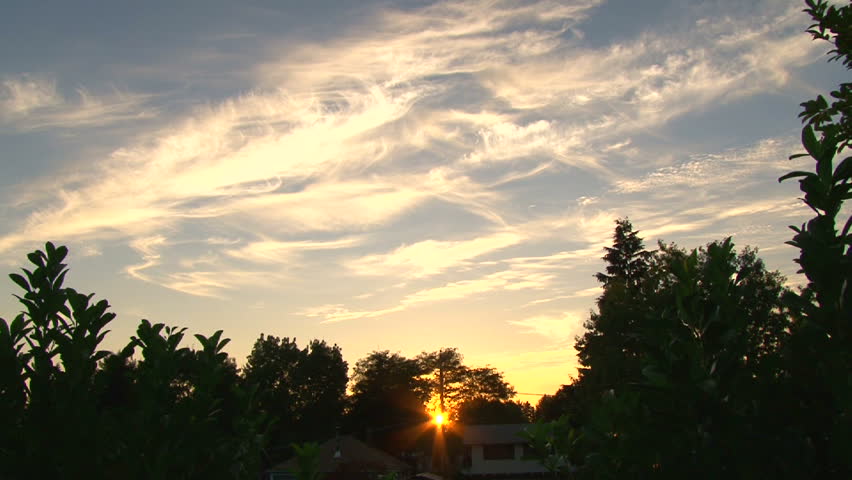 Sun goes down through trees at sunset with beautiful clouds time lapse.