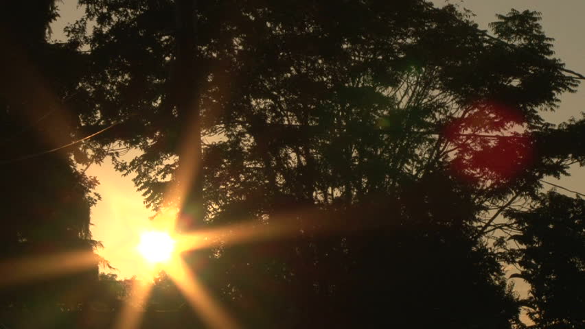 Early morning sun comes up through trees at sunrise, time lapse.