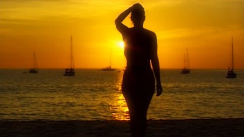 Topless girl on beach Stock Video Footage - 4K and HD Video Clips