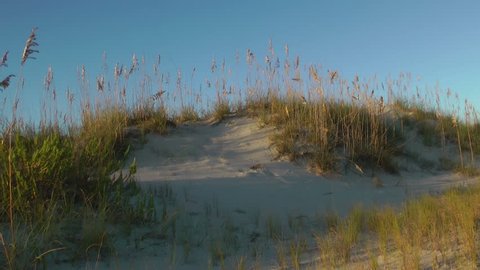 HD of sea grass and sea oats on sand dunes