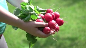 High quality video of woman holding radish in real 1080p slow motion 250fps