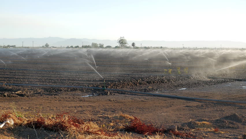 irrigation of agriculture land in California