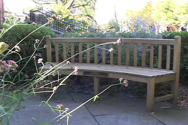 A Bench in a garden