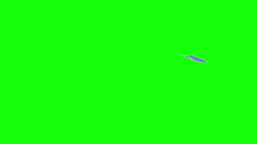 Magic Carpet flies to the right Green Screen 3D Rendering Animation | Shutterstock HD Video #28342621