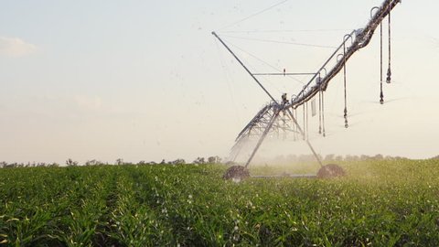 Large Farm Irrigation Sprinkler System Watering Stock Photo 481209784 ...