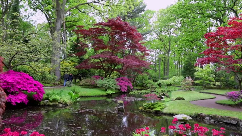 traditional japanese garden hague hd footage Stock Footage Video (100% ...