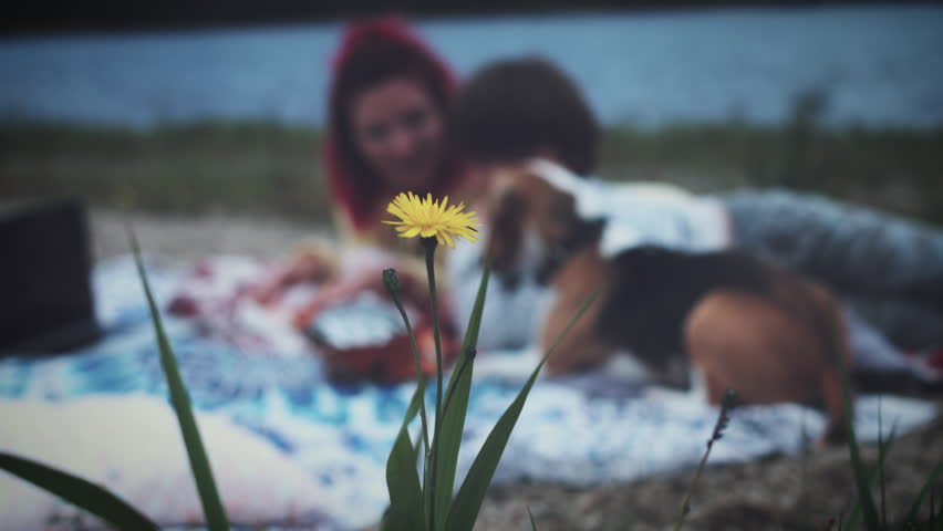 4k Family Having Picnic Next to the Lake