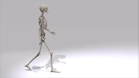 Walking Skeleton