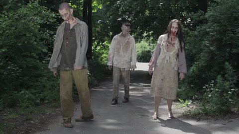 Zombies are walking through an abandoned village. HD