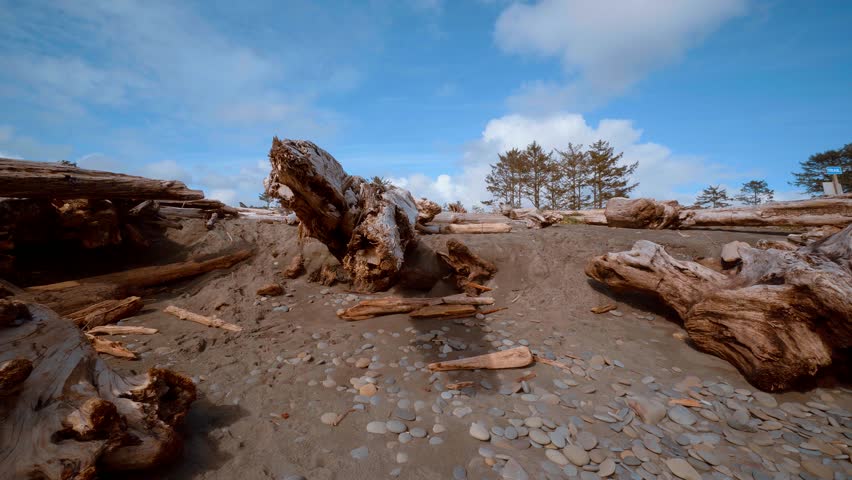 Great nature at La Push - The Beach at Quileute Reservation