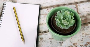 Aloe vera plant, diary with pencil and binder clips on wooden surface