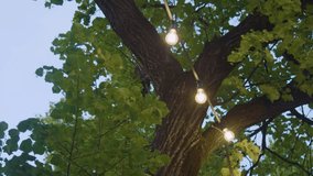Decorative outdoor string lights hanging from a tree - Powered by Shutterstock - Get 15% off with code: PIKWIZARD15