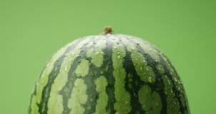 watermelon covered by drops of water rotating on green background Studio footage