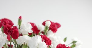red and white carnation flower bouqet rotation