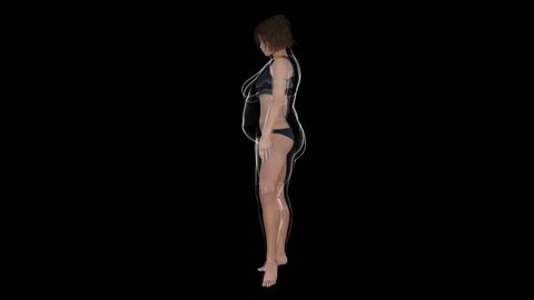 Conceptual overweight big, heavy or fat woman before and after diet, fitness or liposuction over a beautiful slim fit young girl. A fitness video 3D rendering animation isolated on black background