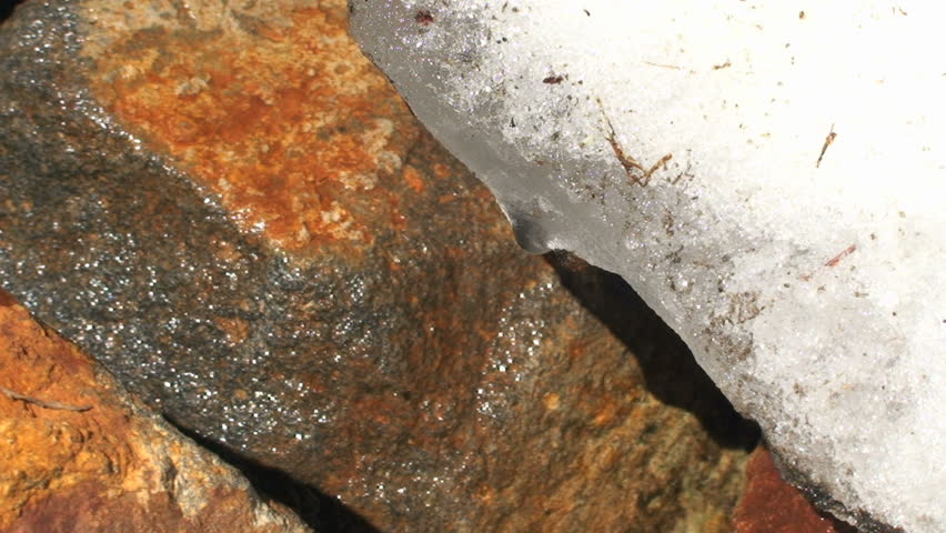 Drops of melting snow, Mount Rainier National Park, Washington, close up