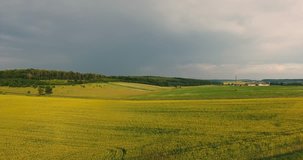 Field With Flowering Canola, Spring in the Rain and Rainbow. Aerial view
