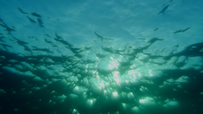 oceanic surface, late afternoon, underwater view