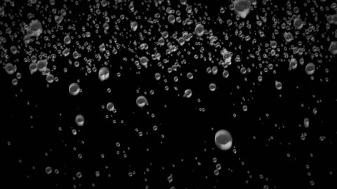 Bubble Surges on Black Background