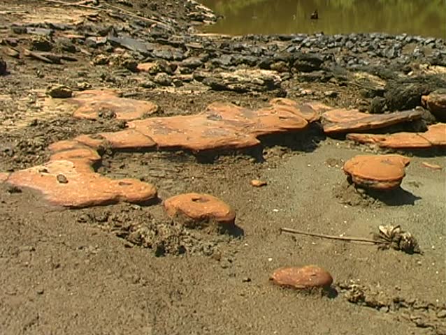 View of the rio Manati near Iquitos, Peru with sediments of marine origin in foreground