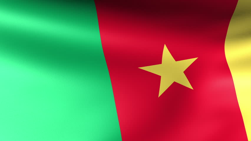 Cameroon Flag Waving