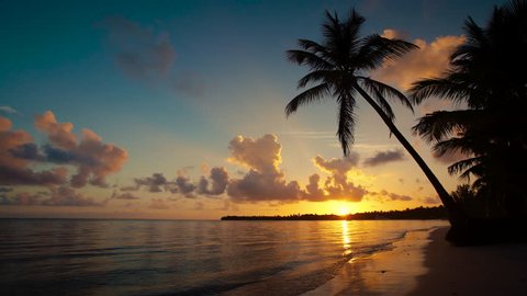 Sunrise over tropical island beach and palm trees, Punta Cana, Dominican Republic