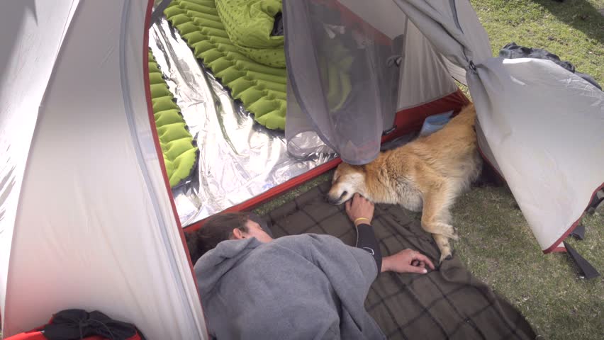 dog sleeping tent