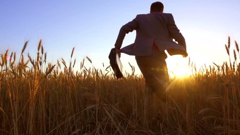 Rear view of businessman running across a wheat field in sunset direction, waving a briefcase. Low angle shot. Backlight. Slow motion