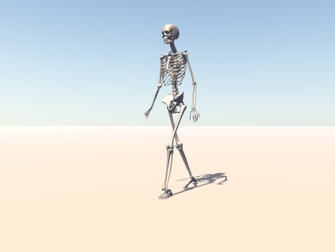 A walking skeleton.