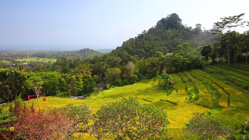 Green rice field, rice terraces on the mountain near popular tourist hindu temple Pura Ulun Danu on a lake Beratan on background cloudy summer sky. Bali, Indonesia