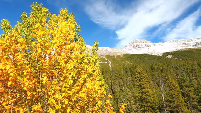 Beautiful fall colors in the Canadian Rockies of Banff National Park