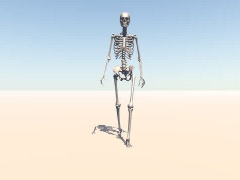 A walking skeleton.