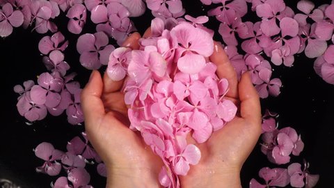 Woman enjoying hands care bath with hydrangea flowers and put them together in hands. Lifestyle background in 4K.