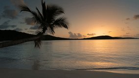 seamless loop of tropical beach sunset with palm tree in Caribbean, Oppenheimer Beach, St John