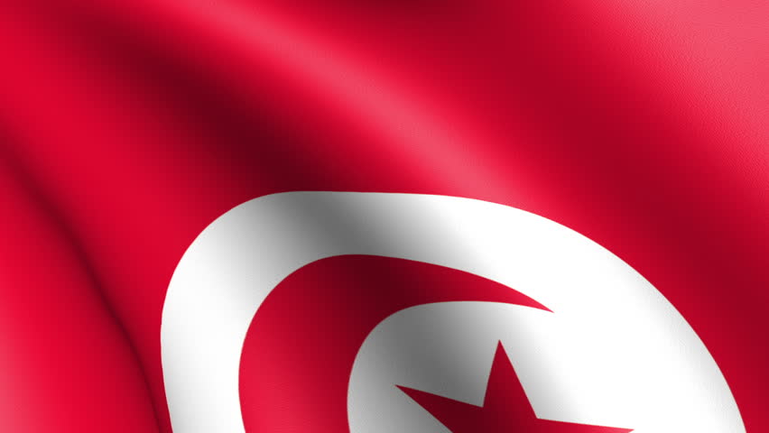 Tunisia Flag Waving
