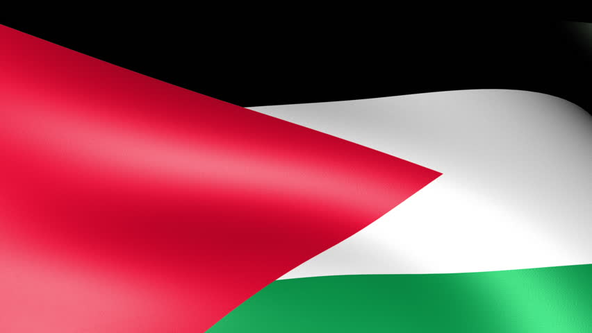 Palestine Flag Waving