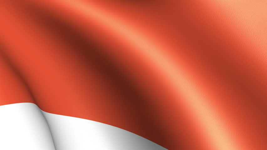 Monaco Flag Waving