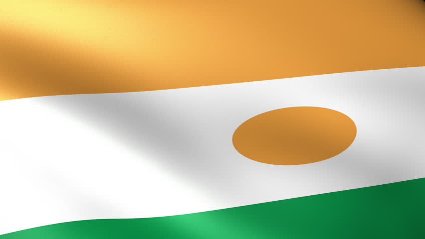 Niger Flag Waving