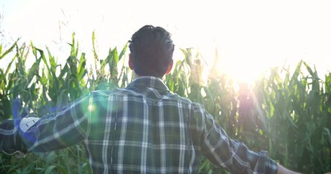 Portrait of a happy young beautiful farmer (student), feels free, freedom, on the field of corn, looks on the sides, the background of greenery. Concept: ecology, farmers, clean air, food, bio product